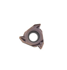 RT16.01W-3.00GM-YBG205 Пластина резьбовая ISO (Метрическая резьба)