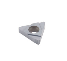 16ER-20Pg DM215 Пластина резьбовая, панцирная резьба